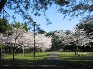 いこいの広場 いこいの広場