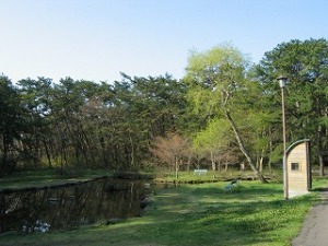 ジョギングコース8番地点付近 池の周囲 ジョギングコース8番地点付近 池の周囲