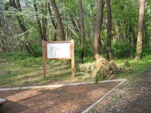 健康づくりのみちNo.1地点 健康づくりのみちNo.1地点