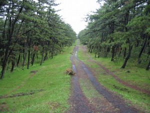 防火線2号 防火線2号