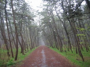 ジョギングコース16番地点 ジョギングコース16番地点