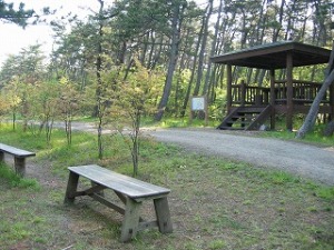 休養広場 休養広場