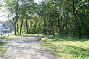 ジョギング50番地点 ジョギング50番地点