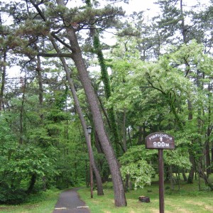 トリム900m地点