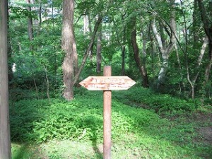 手前400m
