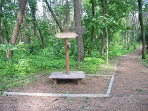 健康づくりＮｏ．２地点