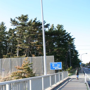 酒田市赤川 酒田市赤川