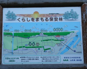 「暮らしを守る保安林」 「暮らしを守る保安林」