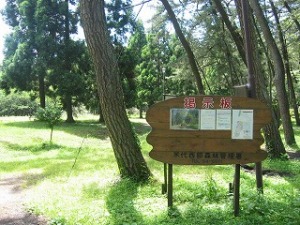 いこいの広場掲示板 いこいの広場掲示板