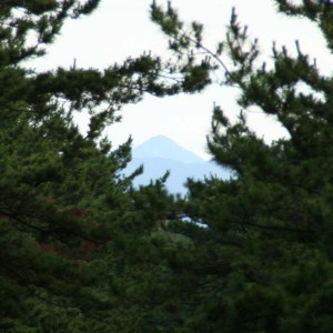 真瀬岳 真瀬岳