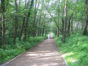 午後3時過ぎの散歩 午後3時過ぎの散歩
